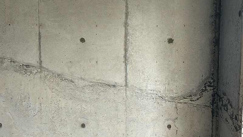 REPAIR PAINTING